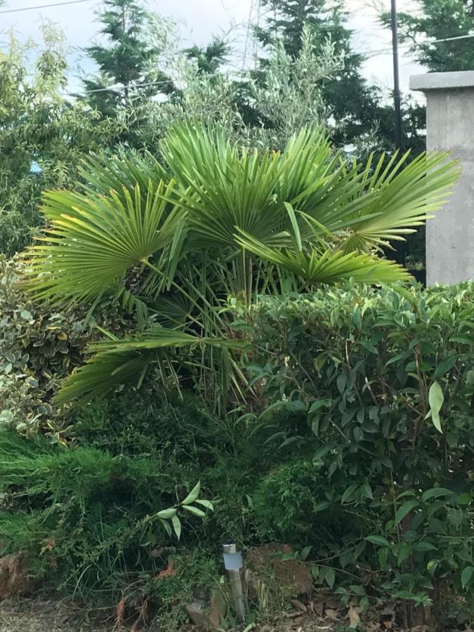 Willa Casa Dei Fiori Asprovalta Zewnętrze zdjęcie