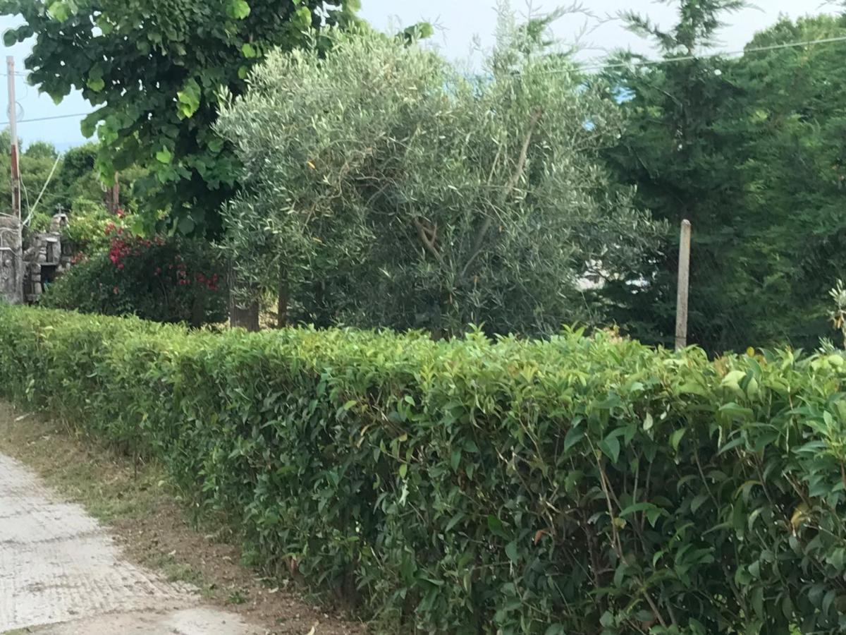 Willa Casa Dei Fiori Asprovalta Zewnętrze zdjęcie